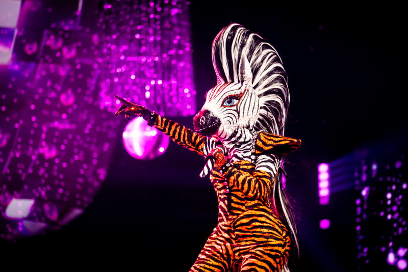 Eikeltje Space Babe Dame Blanche Zebra Feniks En De Mike Zetten The Masked Singer Op Stelten