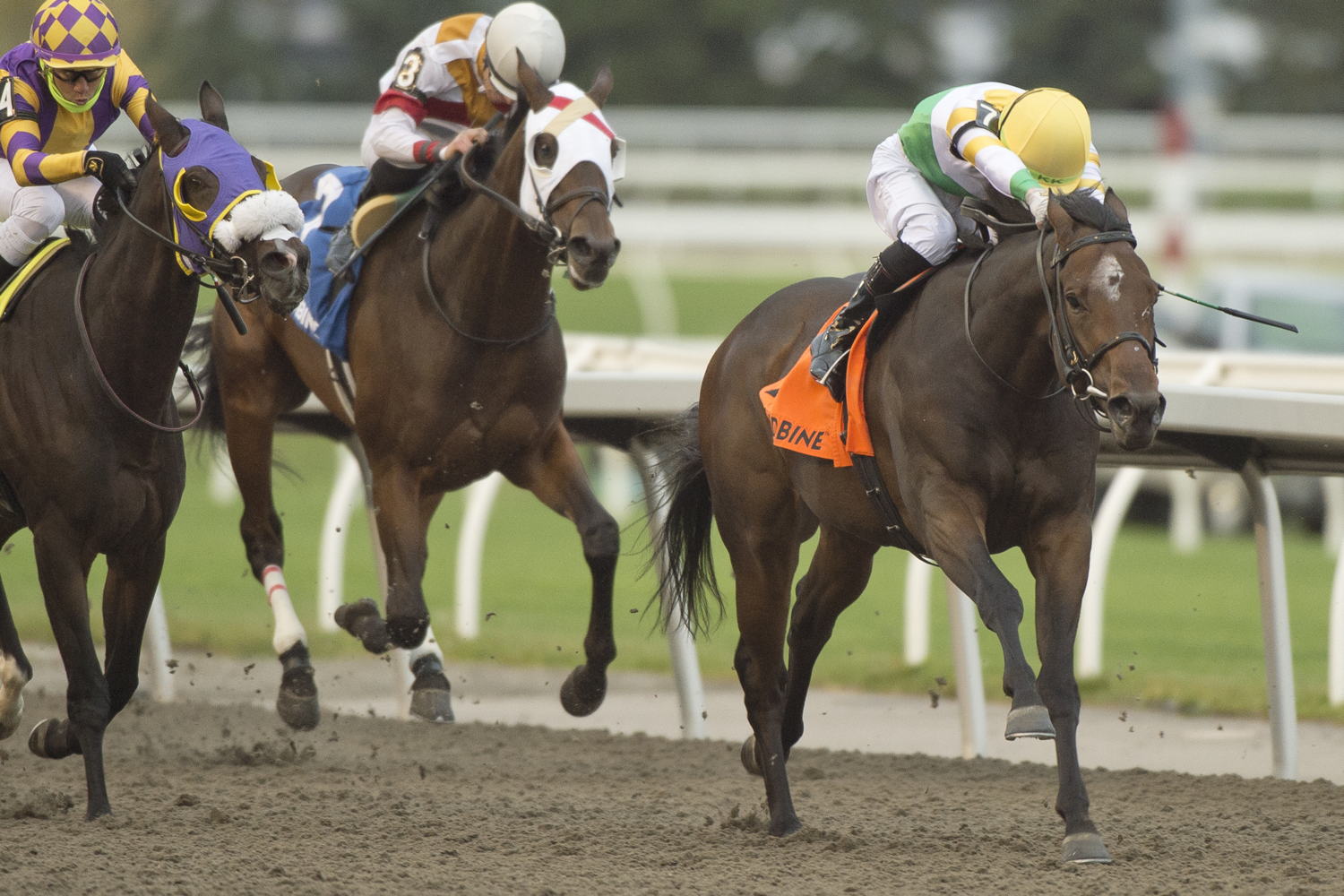 Touch'n Ride and jockey Kazushi Kimura winning the Ontario Derby on October 21, 2023 at Woodbine (Michael Burns Photo)