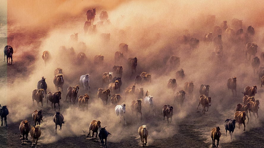 The Frontier