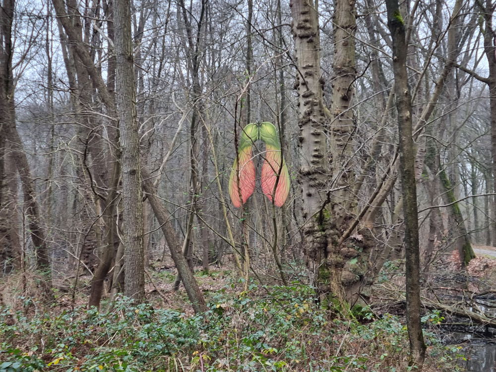 Ontwerp Marijke Meersman - Tentoonstelling ‘Natuur in Miniatuur’
