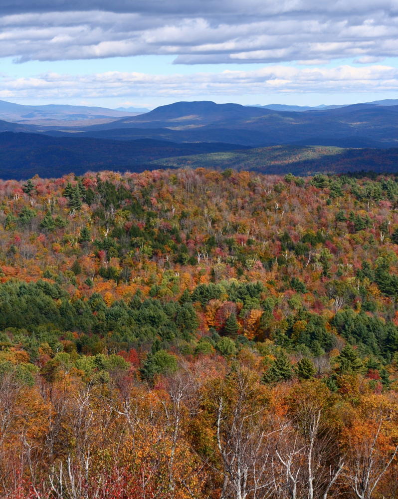 View from the Gile Mountain fire tower