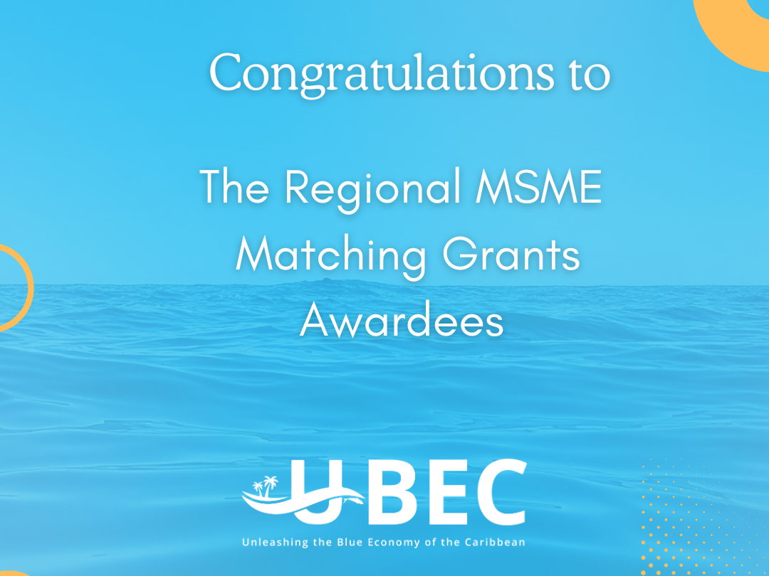 OECS Commission Congratulates 28 MSMEs on Securing Grants Under the 1st Window 1 Call for Proposals of The Regional MSME Matching Grants Programme – 2nd Call for Proposals for Window 1 Opens October 17, 2025
