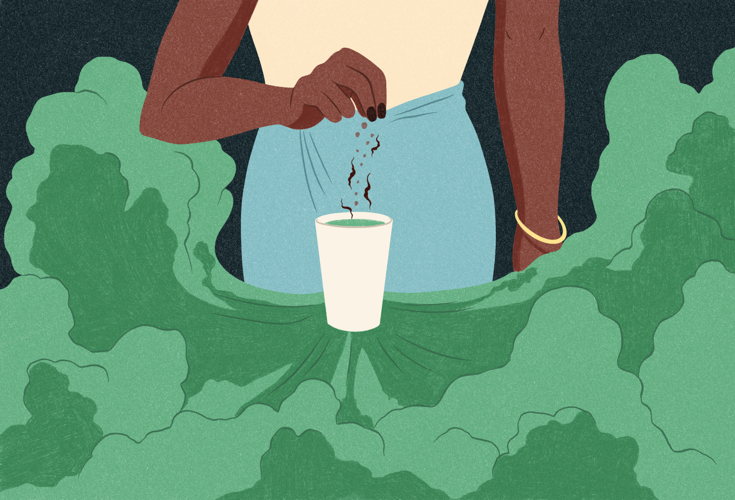 Illustrations from Alice Wietzel