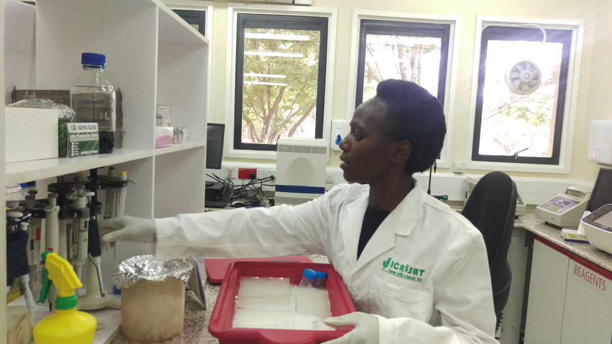 ICRISAT scientist Dr Damaris Odeny at work in the genomics laboratory in Africa.