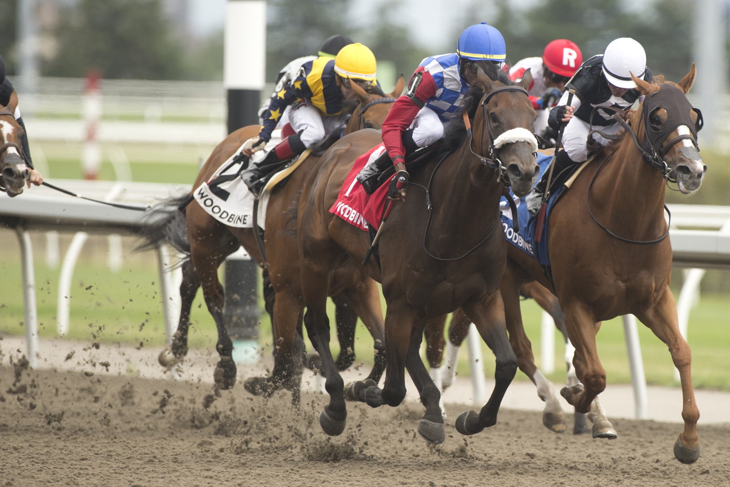 Hazelbrook and jockey Jason Hoyte post the 26-1 upset winning the Hendrie Stakes G3 on Sunday at Woodbine. (Michael Burns Photo)
