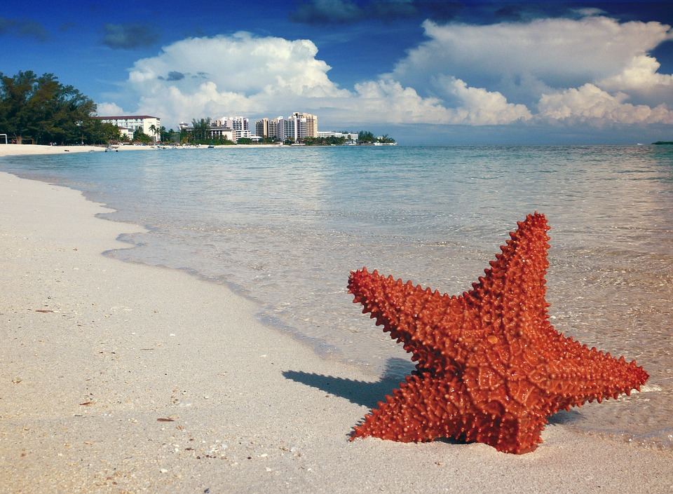 File image: Generic OECS Tourism Image 