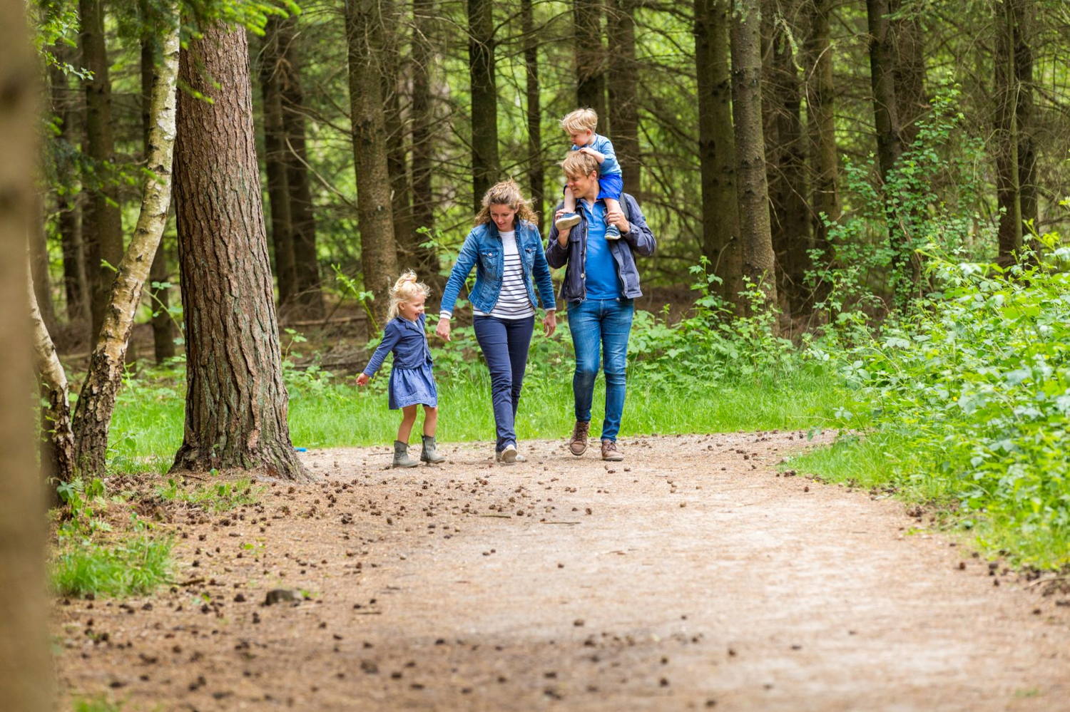 Wandelen Bos Esbeek © VisitBrabant