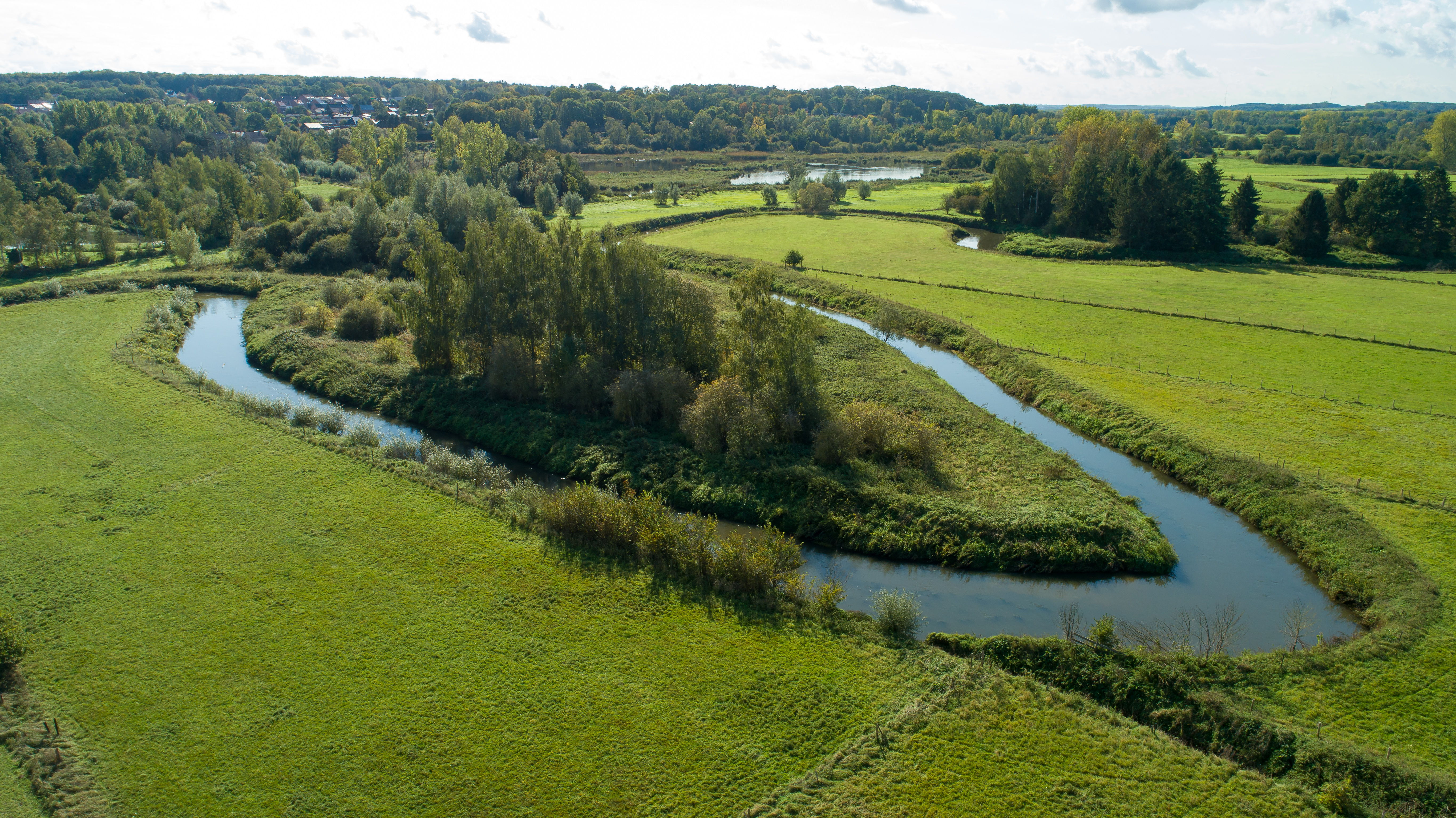Meanderende rivieren door graslanden zijn een typisch kenmerk van de Brabantse Wouden