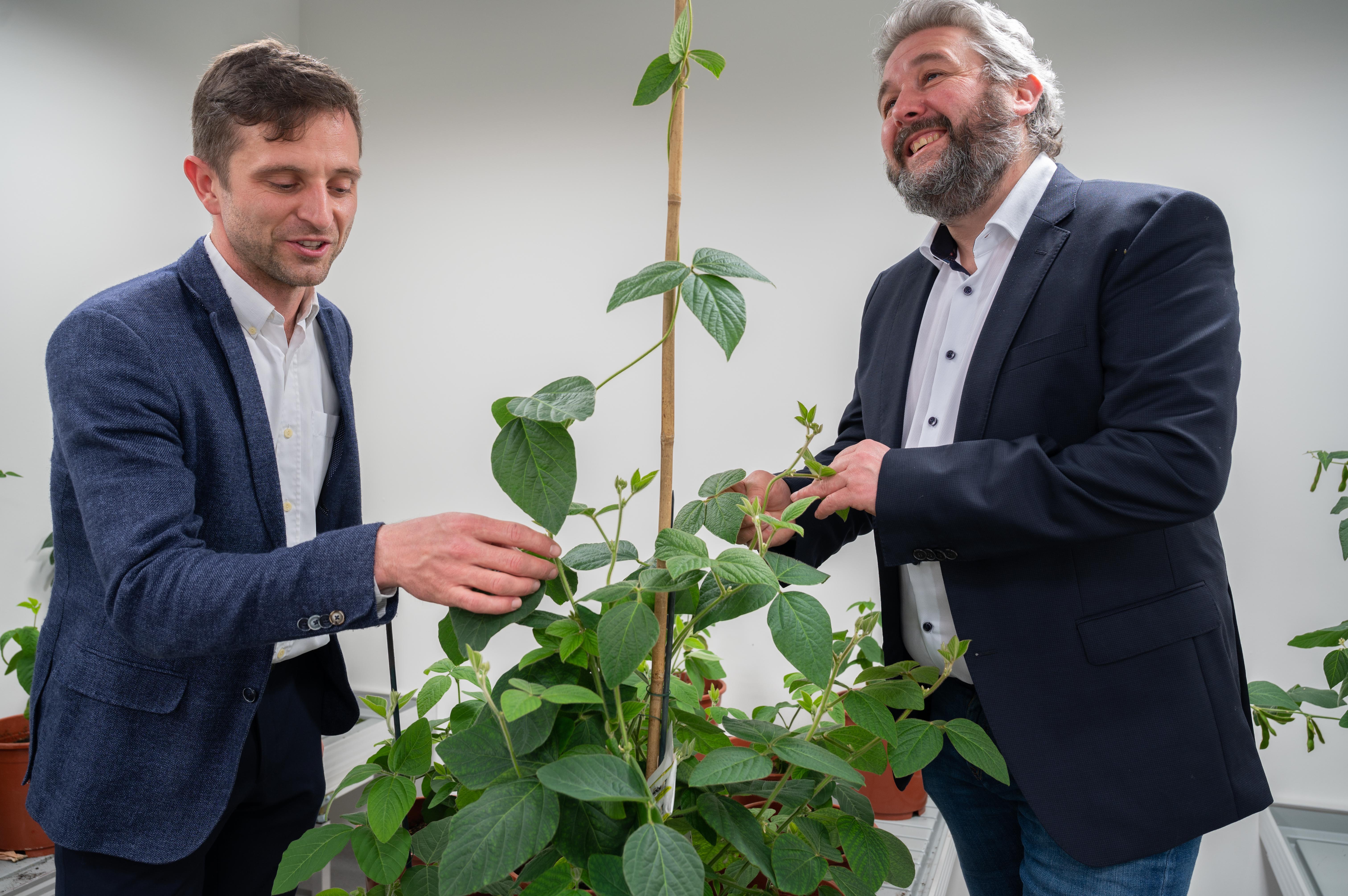 Jonas Aper en Benjamin Laga, oprichters van Protealis.