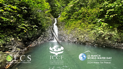 L'OECO et l'ICCF célèbrent la Journée mondiale de l'eau avec les principaux acteurs de la sécurité de l'eau