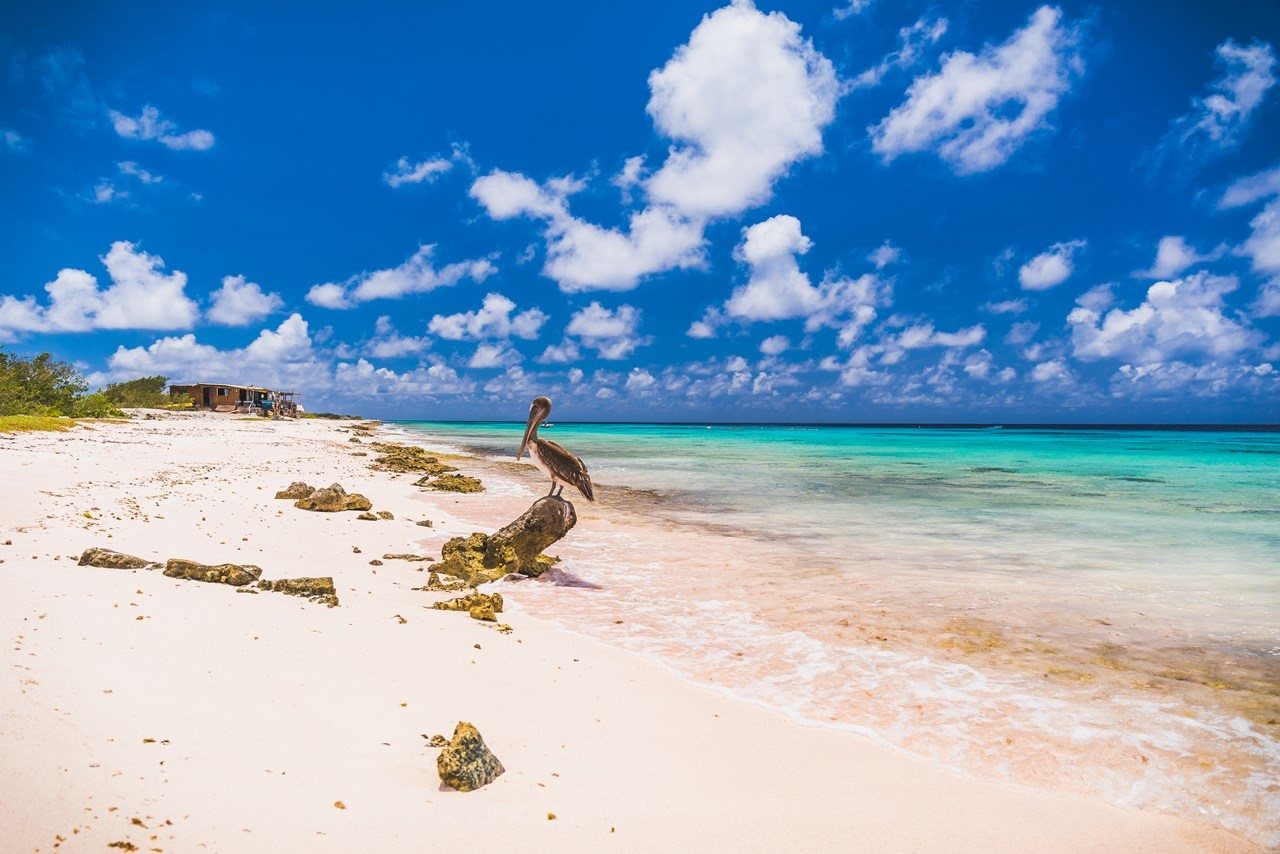 Bonaire 1