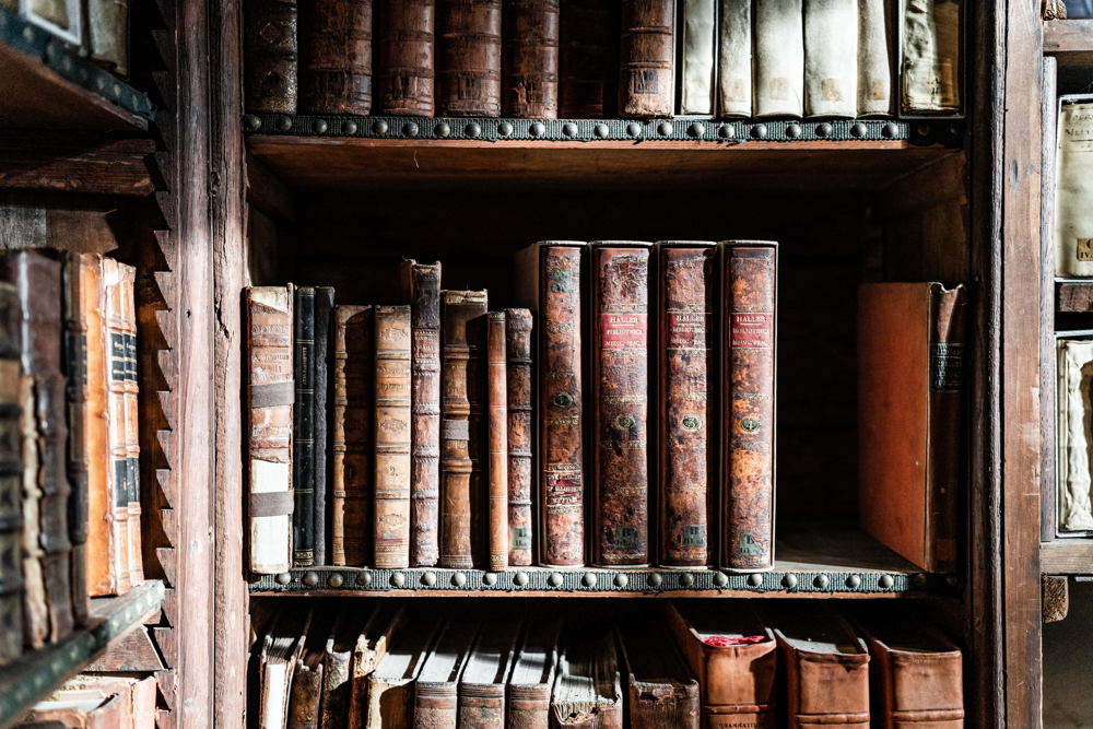Nottebohmzaal van de Erfgoedbibliotheek Hendrik Conscience | Foto: LUCID