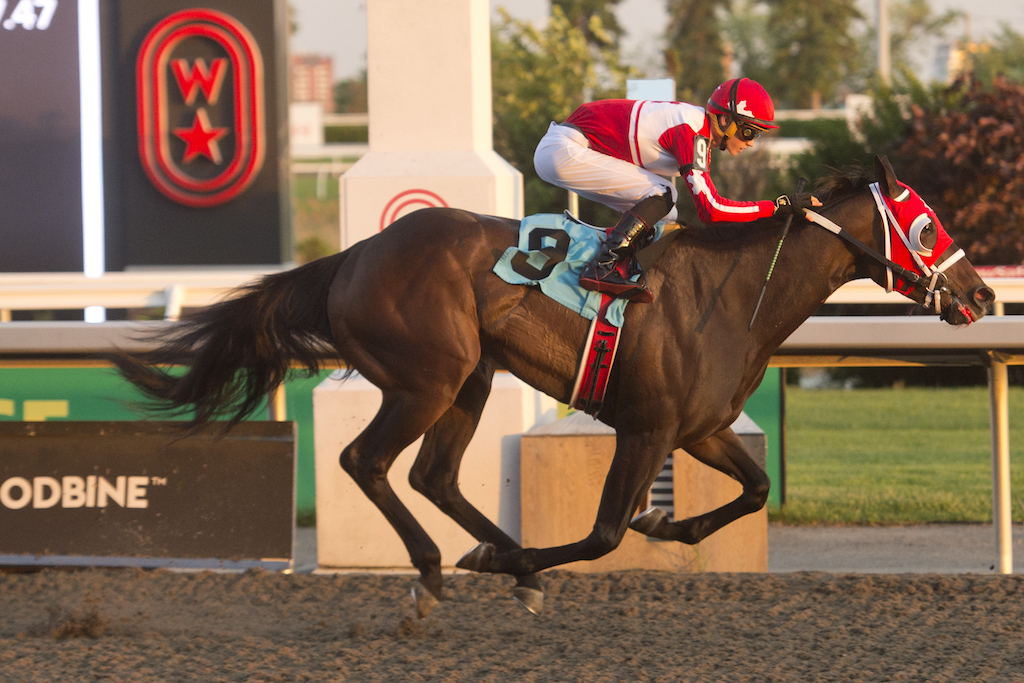Sinclairity winning on May 23 at Woodbine. (Michael Burns Photo)