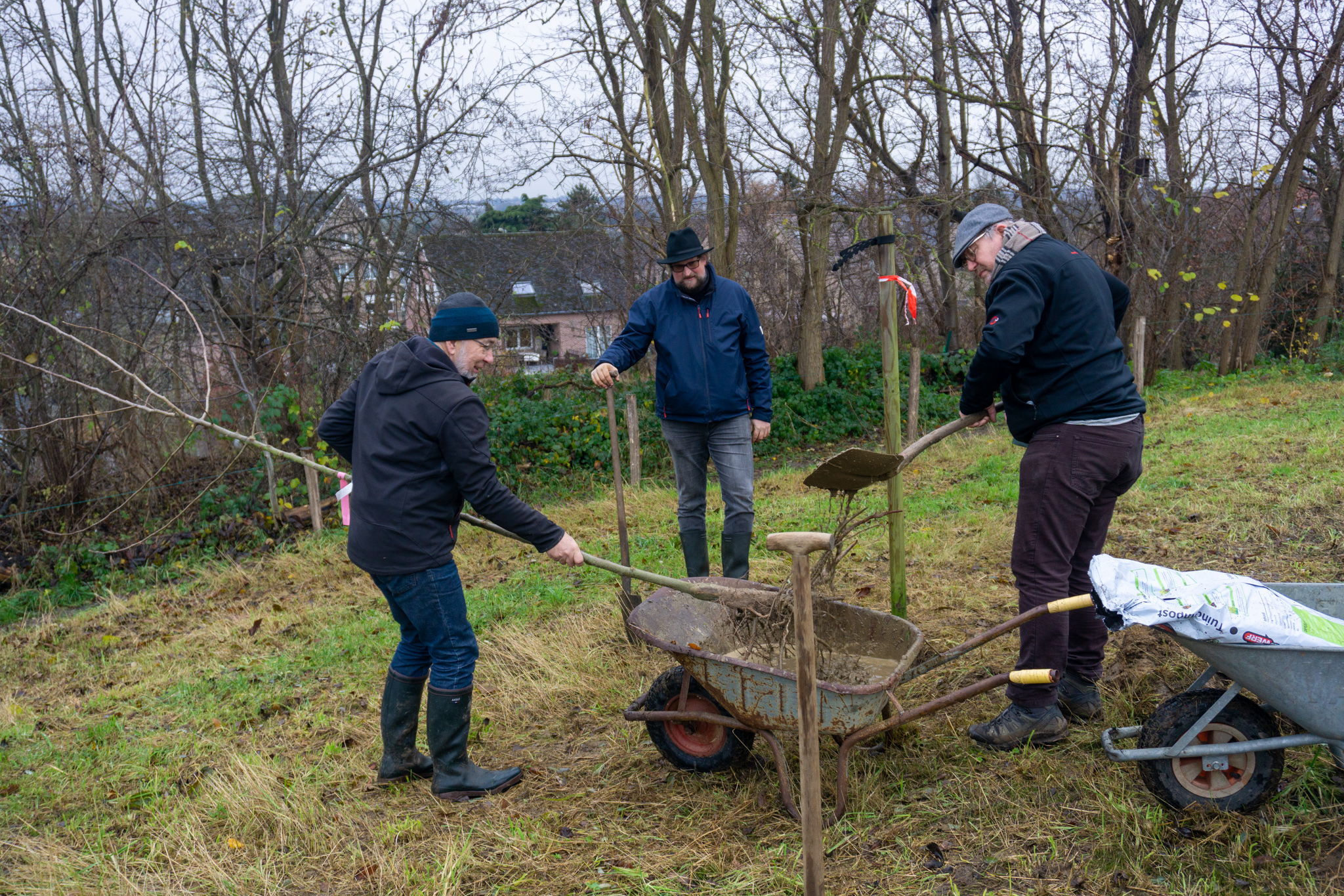 Vlaams-Brabanders zetten lokale planten via 'Behaag je tuin'