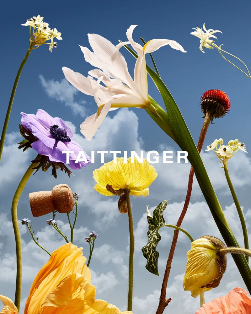 Taittinger - Lifestyle - La Fontaine's Fables (4)