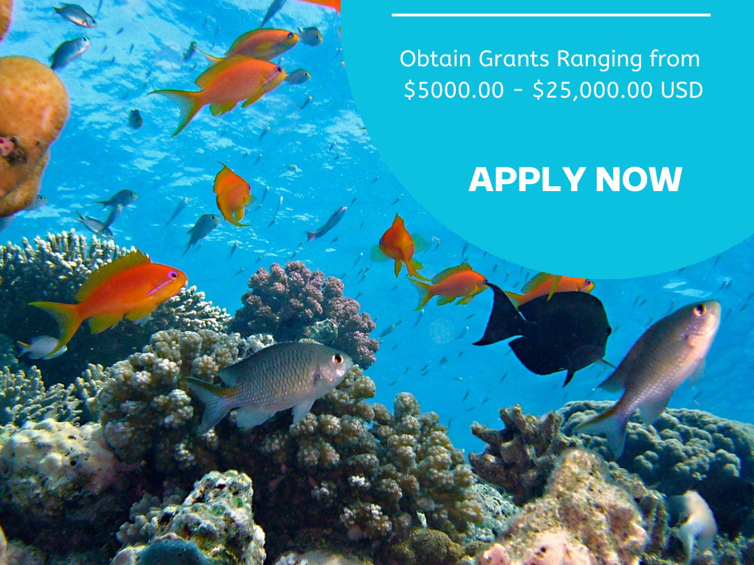 Matching Grants Programme Launched: 4.5 million USD available for MSMEs