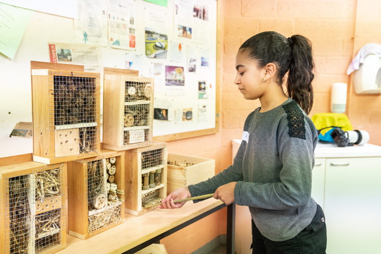 Workshop klimaat en milieu Xaverius college © Tom Cornille