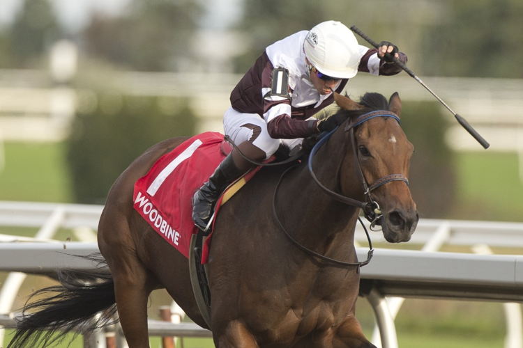  Loyalty and jockey Luis Contreras winning the Duchess Stakes on Saturday at Woodbine. (Michael Burns Photo)