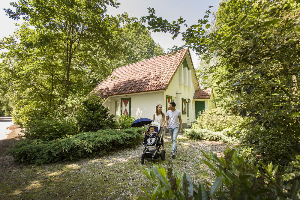 Babyplus bungalows