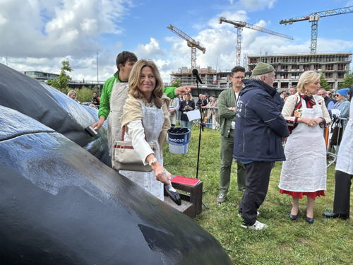 ©IOBZ SW_Wij zijn de Walvis - Kortrijk 2025 ©IOBZ SW_Wij zijn de Walvis - Kortrijk 2025