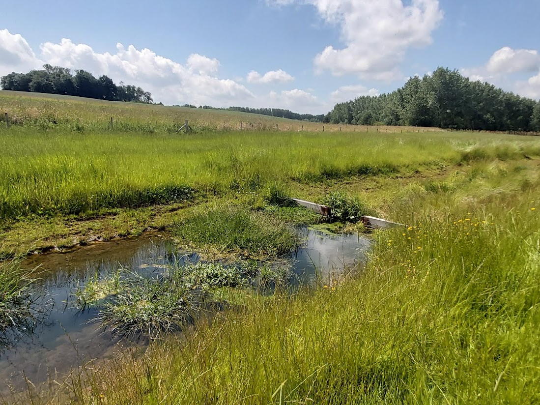 Provincie investeert een half miljoen euro in klimaat