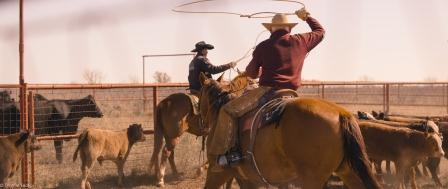 Cowboys in Texas