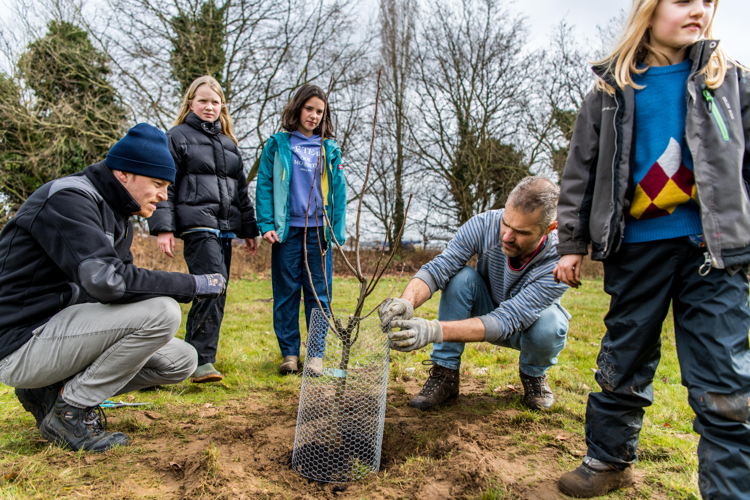 Aanplanting voedselbos © Dries Luyten