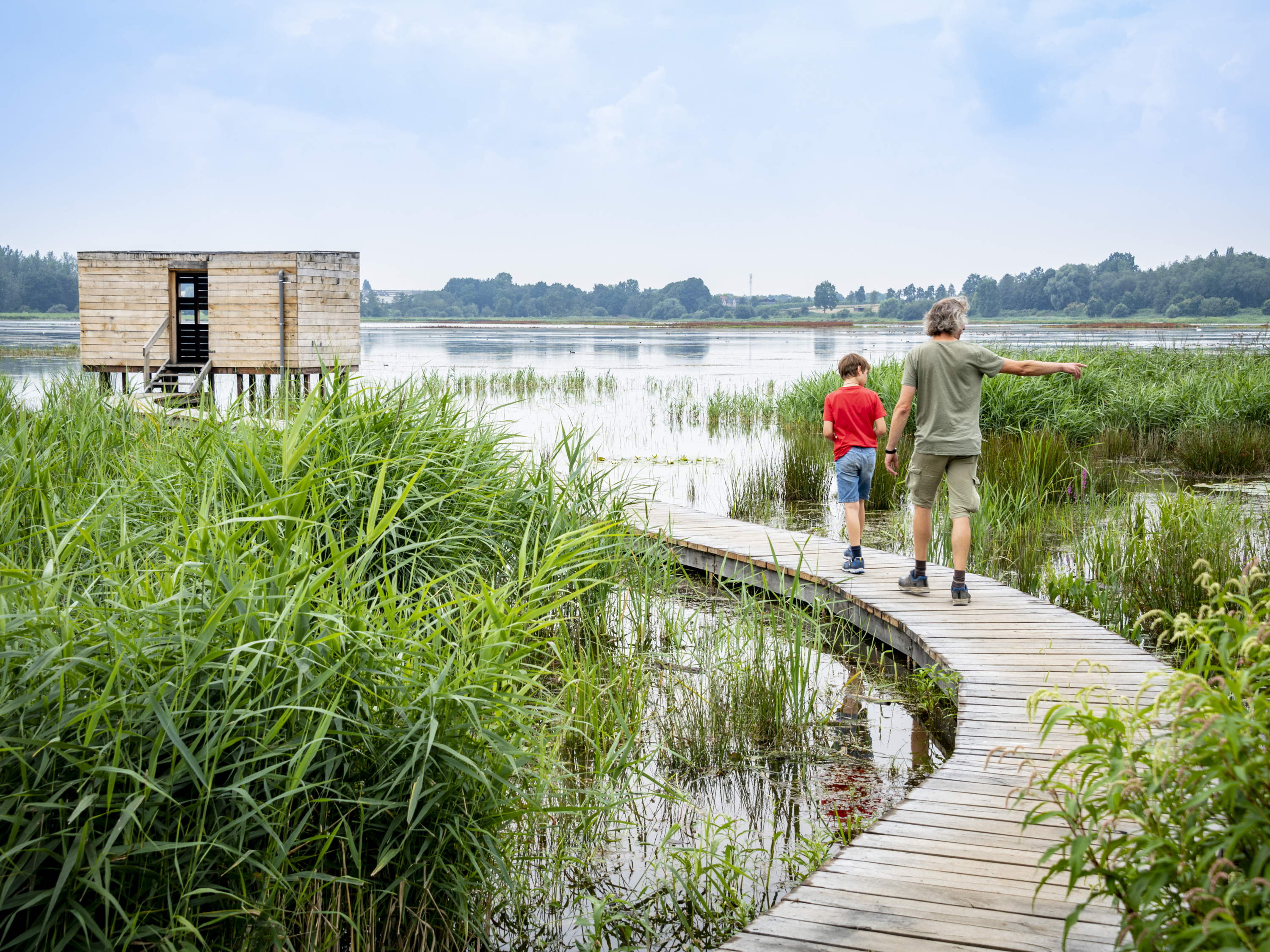 Provinciedomein Het Vinne erkend als natuurreservaat