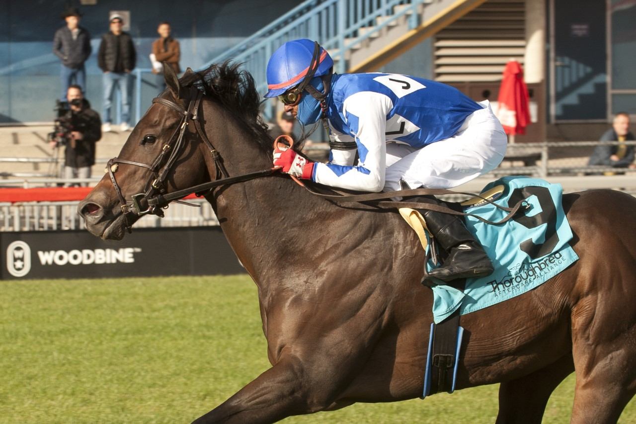 Cazadero and jockey Patrick Husbands winning the Nearctic Stakes on Saturday at Woodbine (Michael Burns Photo)