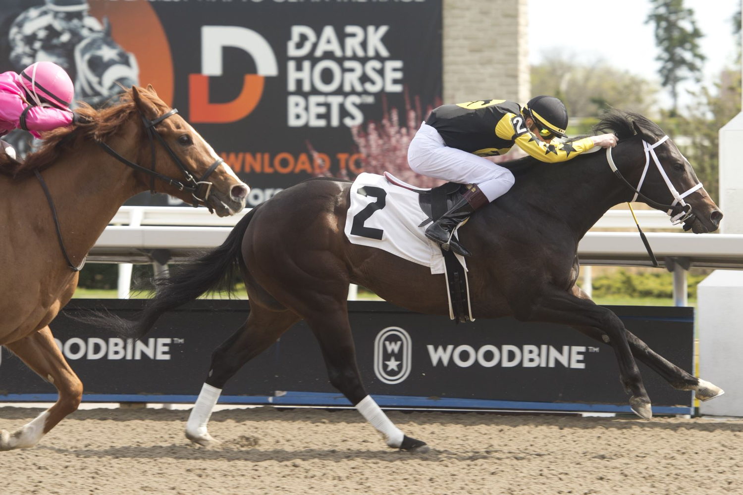 Uncaptured Moment and jockey Declan Carroll winning race 5 on May 6, 2023 at Woodbine (Michael Burns Photo)