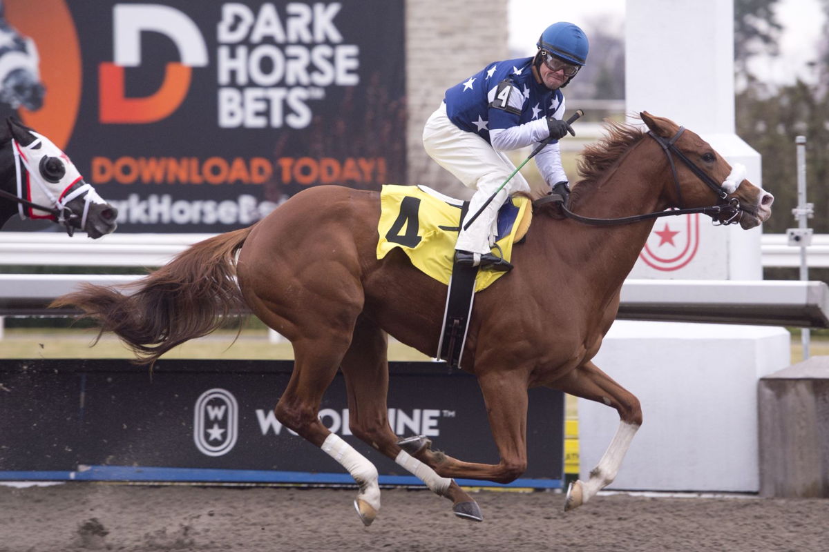 Justin Stein and Thebackstrechdude winning the first race on Nov. 27, 2022 at Woodbine (Michael Burns Photo)