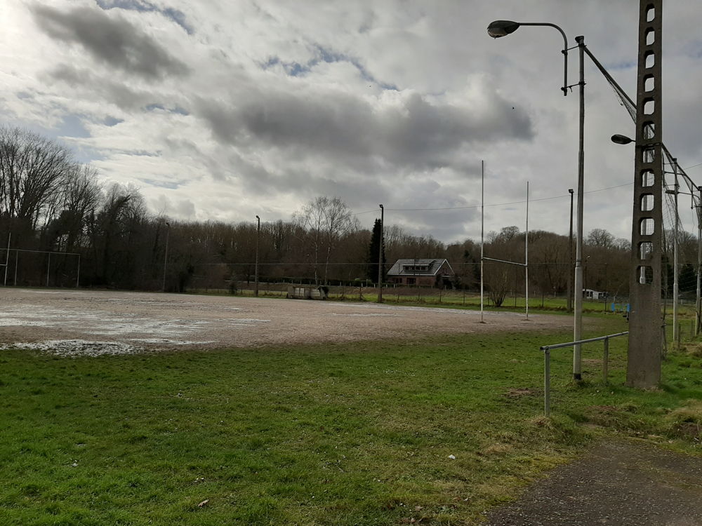 rugbyveld met aangrenzende weide