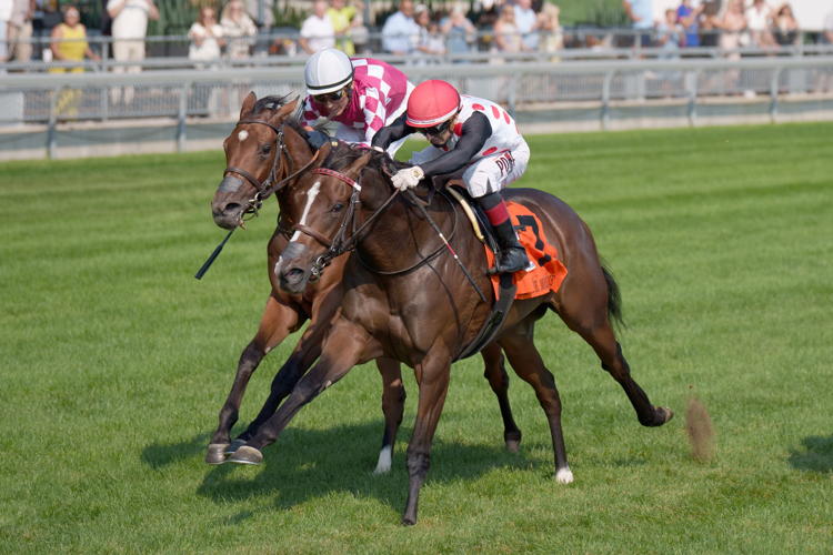And One More Time and jockey Rafael Hernandez winning the Johnnie Walker Natalma Stakes (G1) on September 14, 2024 at Woodbine (Michael Burns Photo)