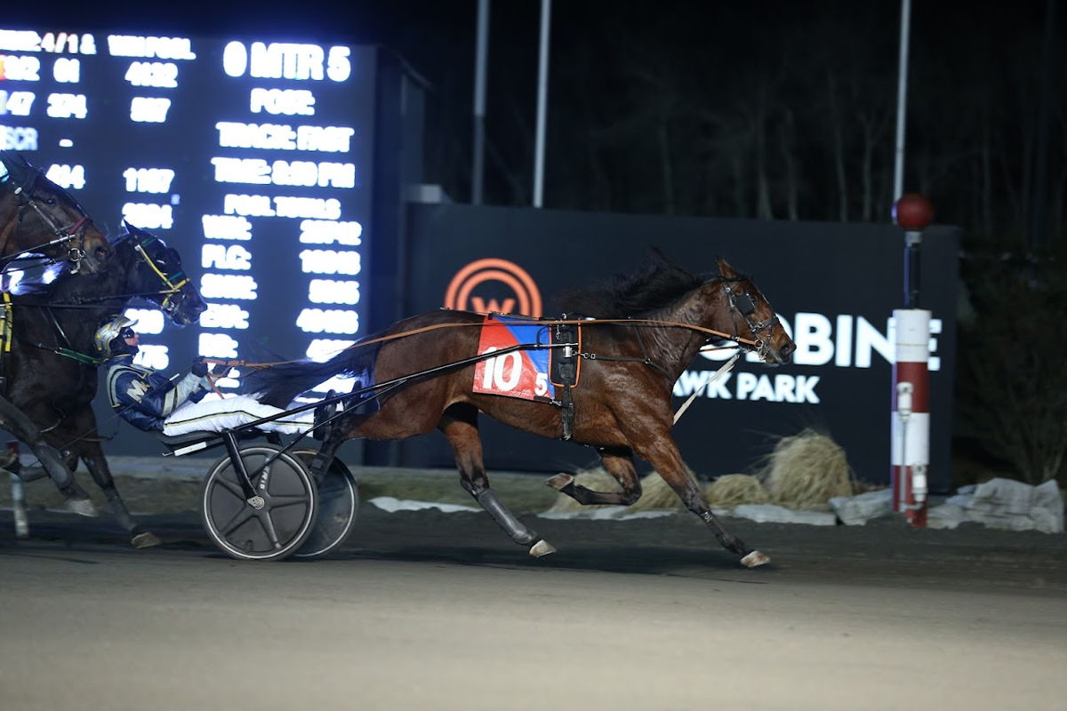 Cindy Lynn trots to her third victory of 2022 on March 10th with driver Bob McClure in the sulky at Woodbine Mohawk Park. (New Image Media)