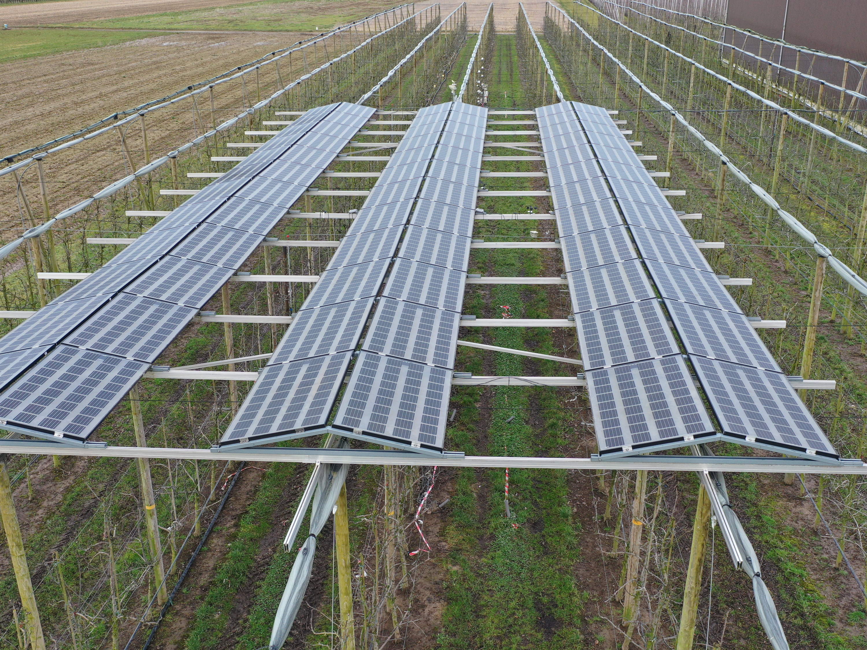 Boerenbond lust geen zonnepanelen op landbouwgrond