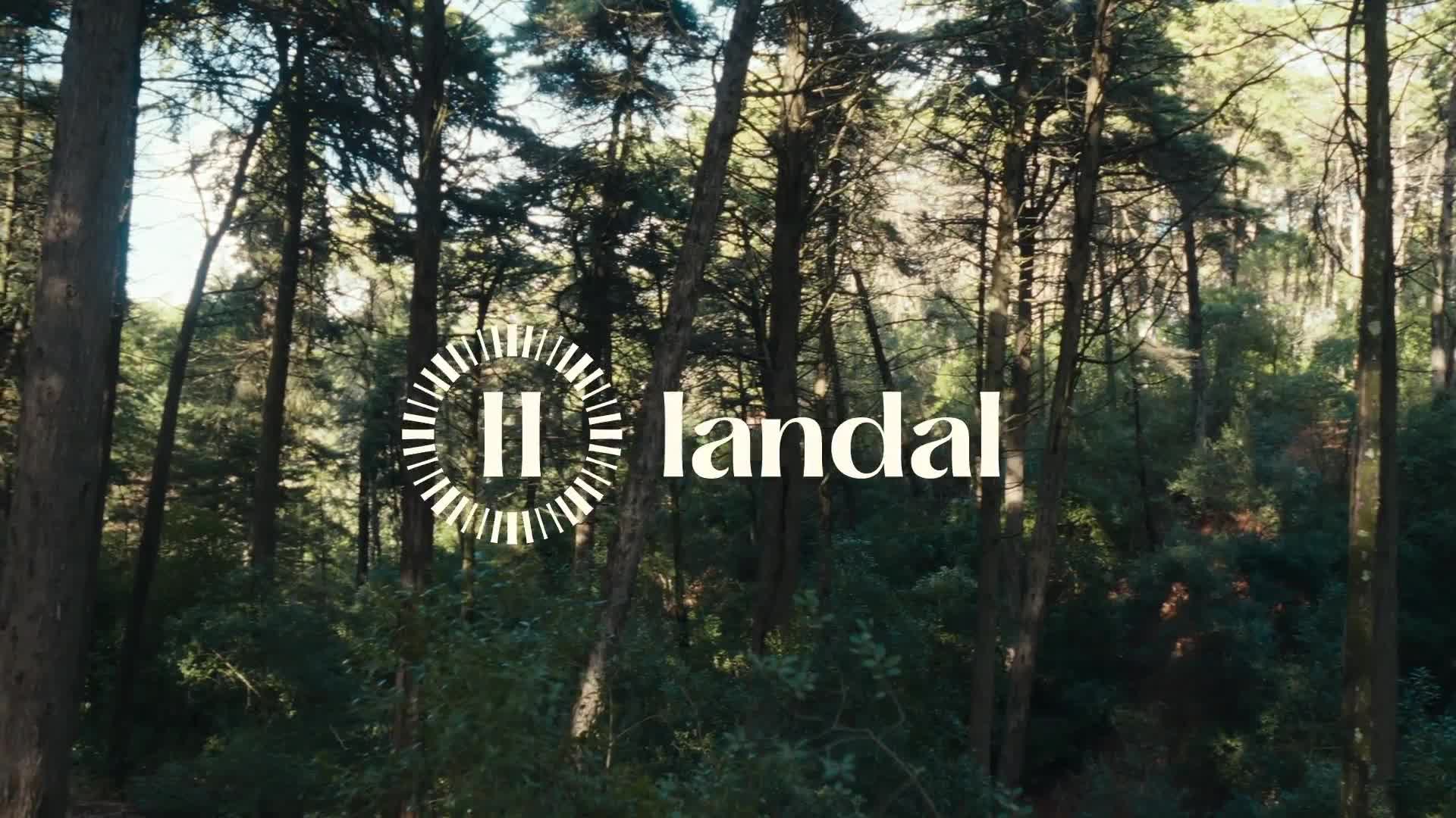 Videos
