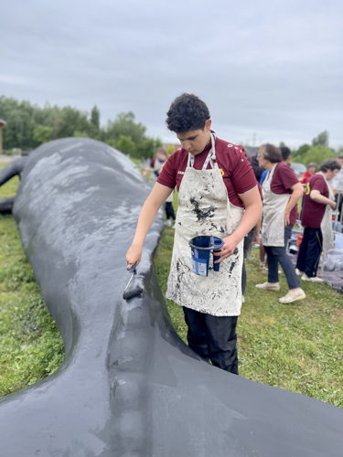 (C)IOBZ EVH Wij Zjn De Walvis Kortrijk 50 (C)IOBZ EVH Wij Zjn De Walvis Kortrijk 50