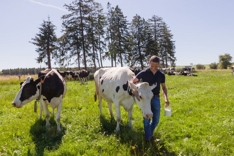 Producteur du lait demi-écrémé Filière Qualité Carrefour : Jean-Louis-Neuville