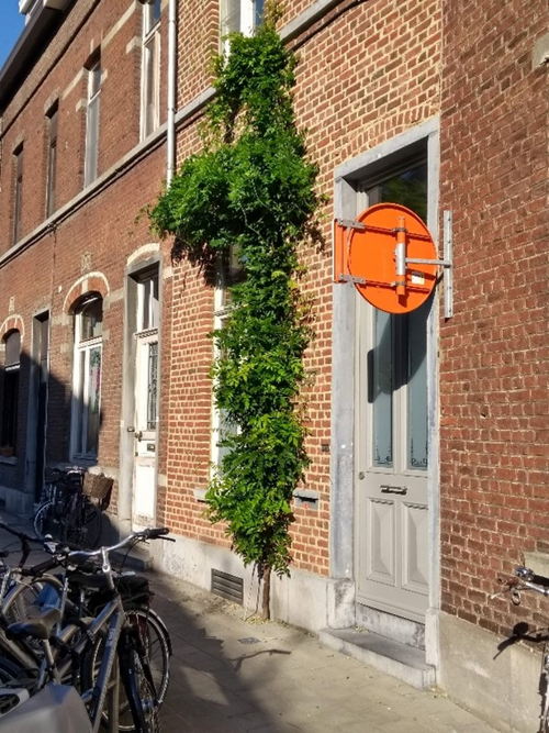geveltuintje Ridderstraat