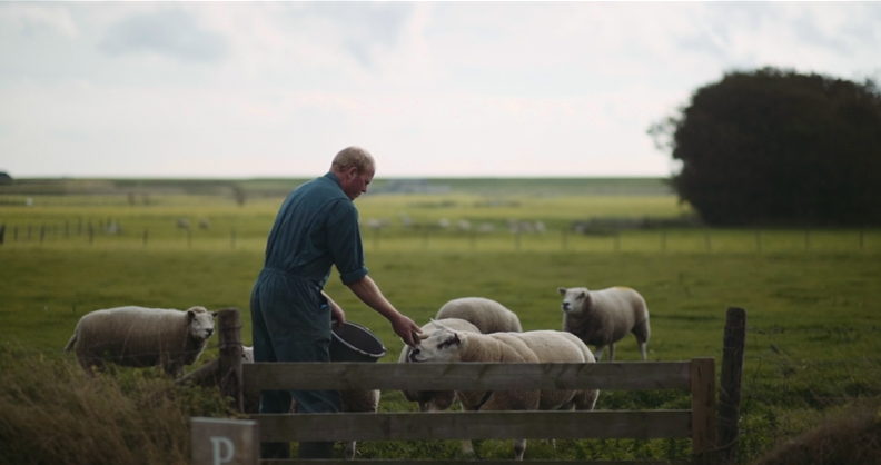 Jan Willem Bakker- Texel