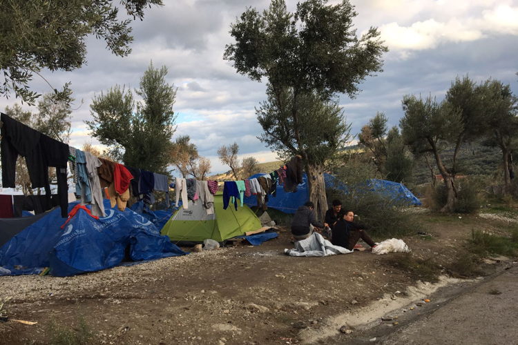 As the temperatures get lower every day, people have no choice than to live in summer tents in Moria camp or in the olive grove nearby. Credit: MSF