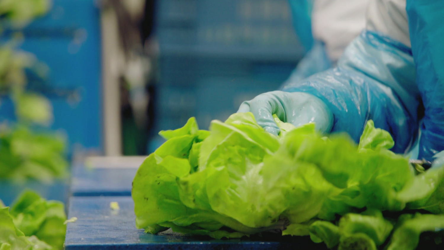 Voorverpakte sla
Over eten (c) VRT