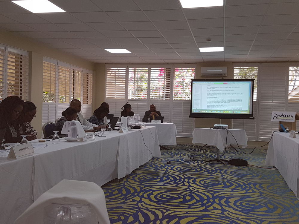 Participants of the Eleventh Living Standards Measurement Committee 