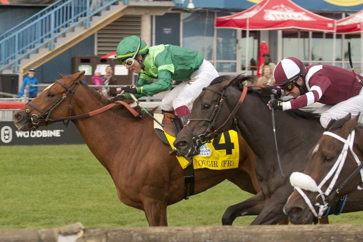 Rougir and jockey Kazushi Kimura winning the 2022 E.P. Taylor Stakes on Saturday at Woodbine (Michael Burns Photo)