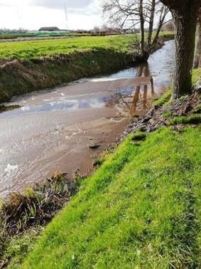 Bart De Schutter: "Mestfraude is een slag in het gezicht van alle betrokkenen die wel inspanningen leveren om de waterkwaliteit te verbeteren. Daarom zetten we als Mestbank sterk in op het blootleggen en stoppen van die praktijken." Bart De Schutter: "Mestfraude is een slag in het gezicht van alle betrokkenen die wel inspanningen leveren om de waterkwaliteit te verbeteren. Daarom zetten we als Mestbank sterk in op het blootleggen en stoppen van die praktijken."