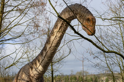 Wintonotitan
