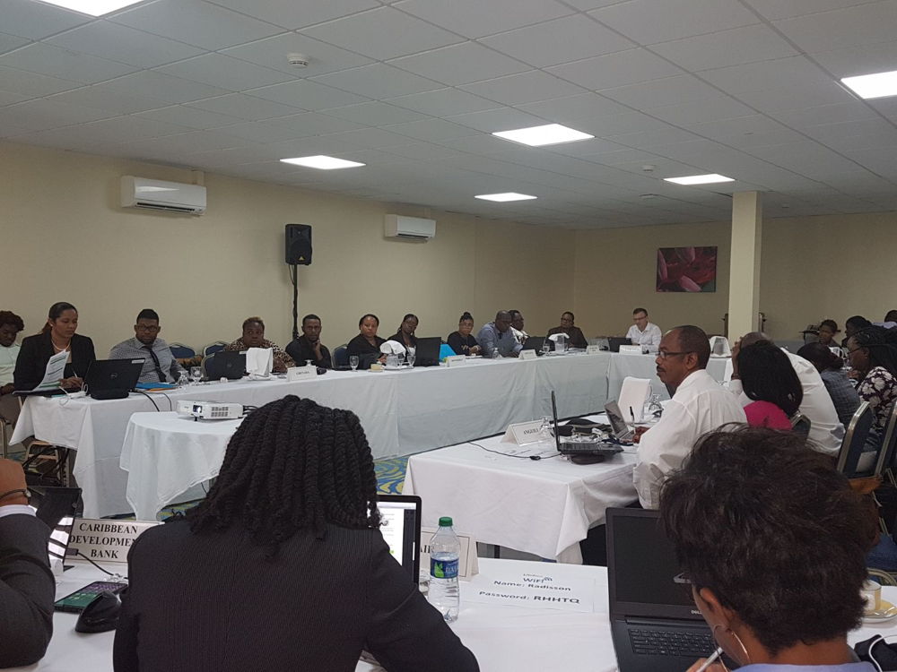Participants of the Eleventh Living Standards Measurement Committee 