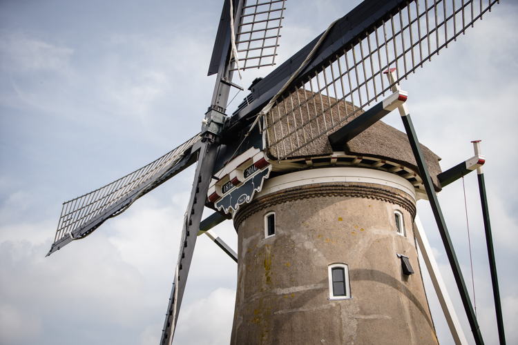 © Mooi Belicht Fotografie