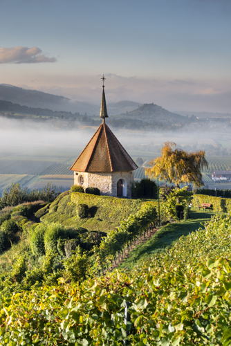 Freiburg ©GNTB, Francesco Carovillano