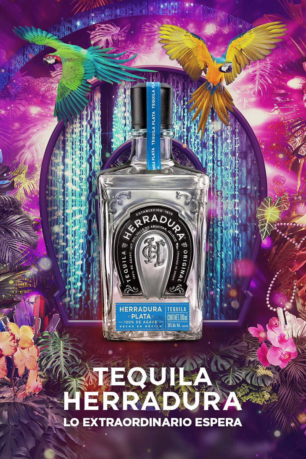 HERRADURA_PLATA
